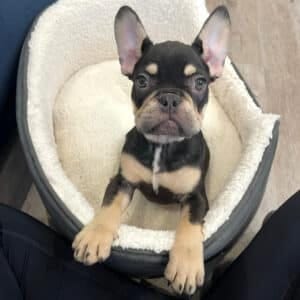 reginald copy - Sealant Supplies Ltd 2022 – That’s a Wrap!